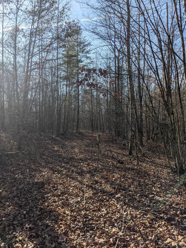 https://bt-photos.global.ssl.fastly.net/chattanooga/1280_boomver_1_1347927-2.jpg
