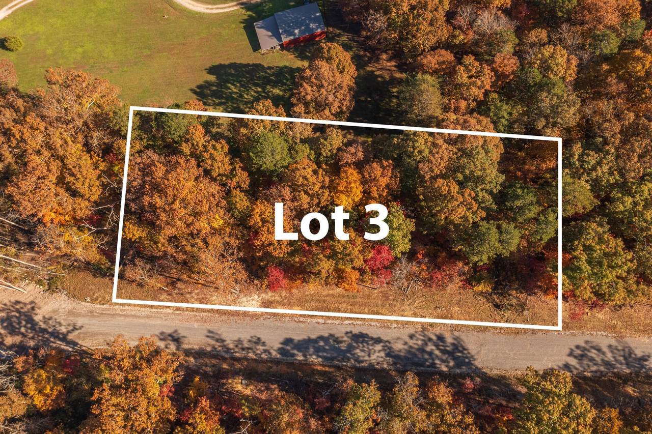 453 Skye Ln - Photo 1