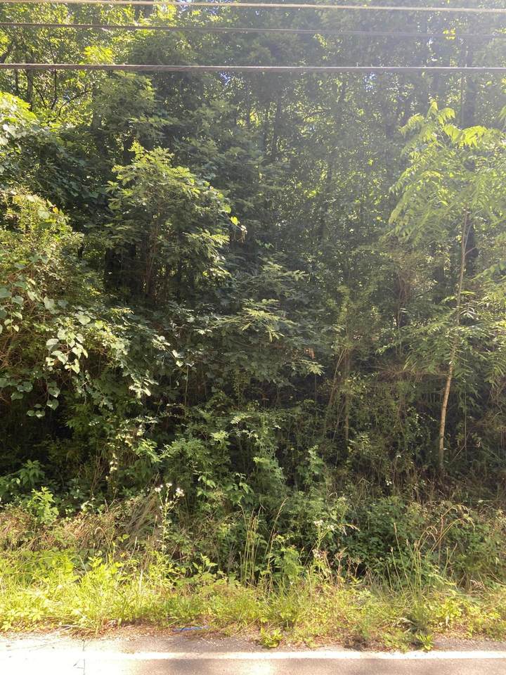 1706 Thatcher Rd - Photo 1
