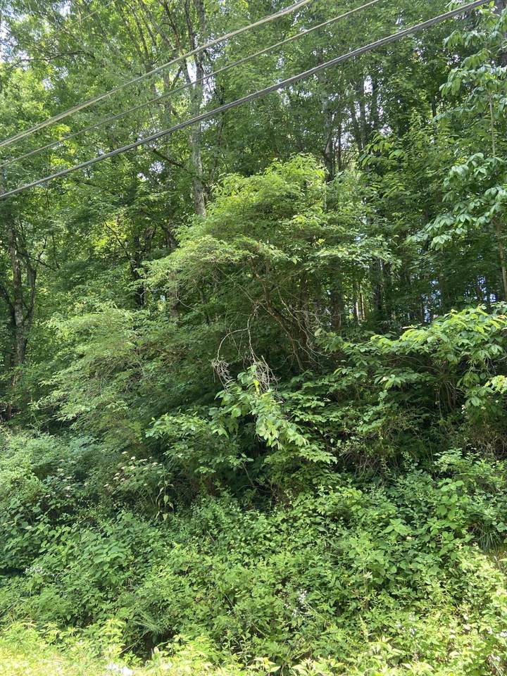 https://bt-photos.global.ssl.fastly.net/chattanooga/1280_boomver_1_1348485-2.jpg