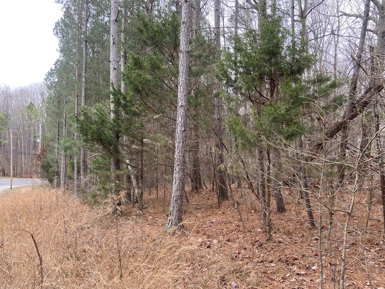0 Rolling Hills Dr - Photo 1