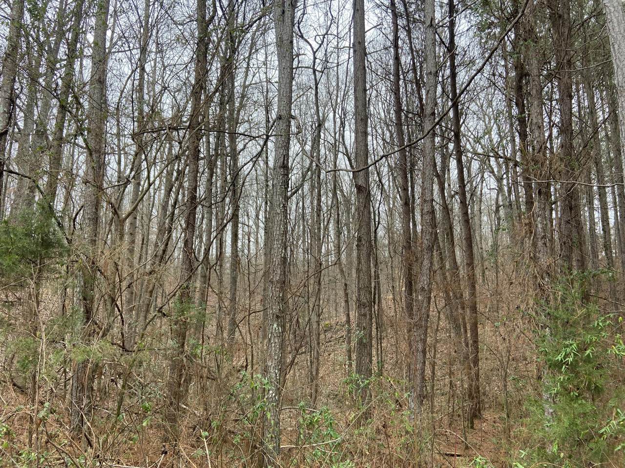 https://bt-photos.global.ssl.fastly.net/chattanooga/1280_boomver_1_1348720-2.jpg