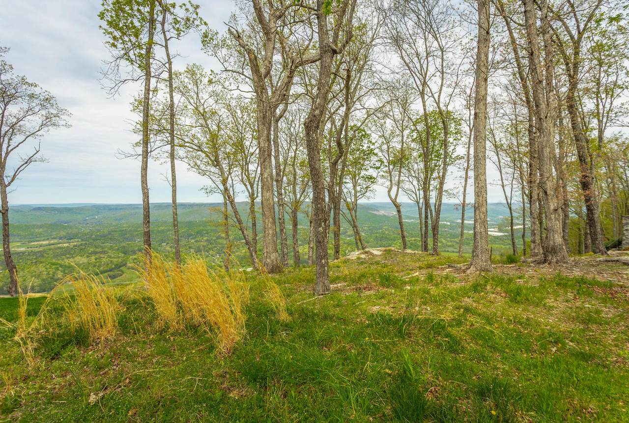 23 Brow Wood Ln - Photo 1