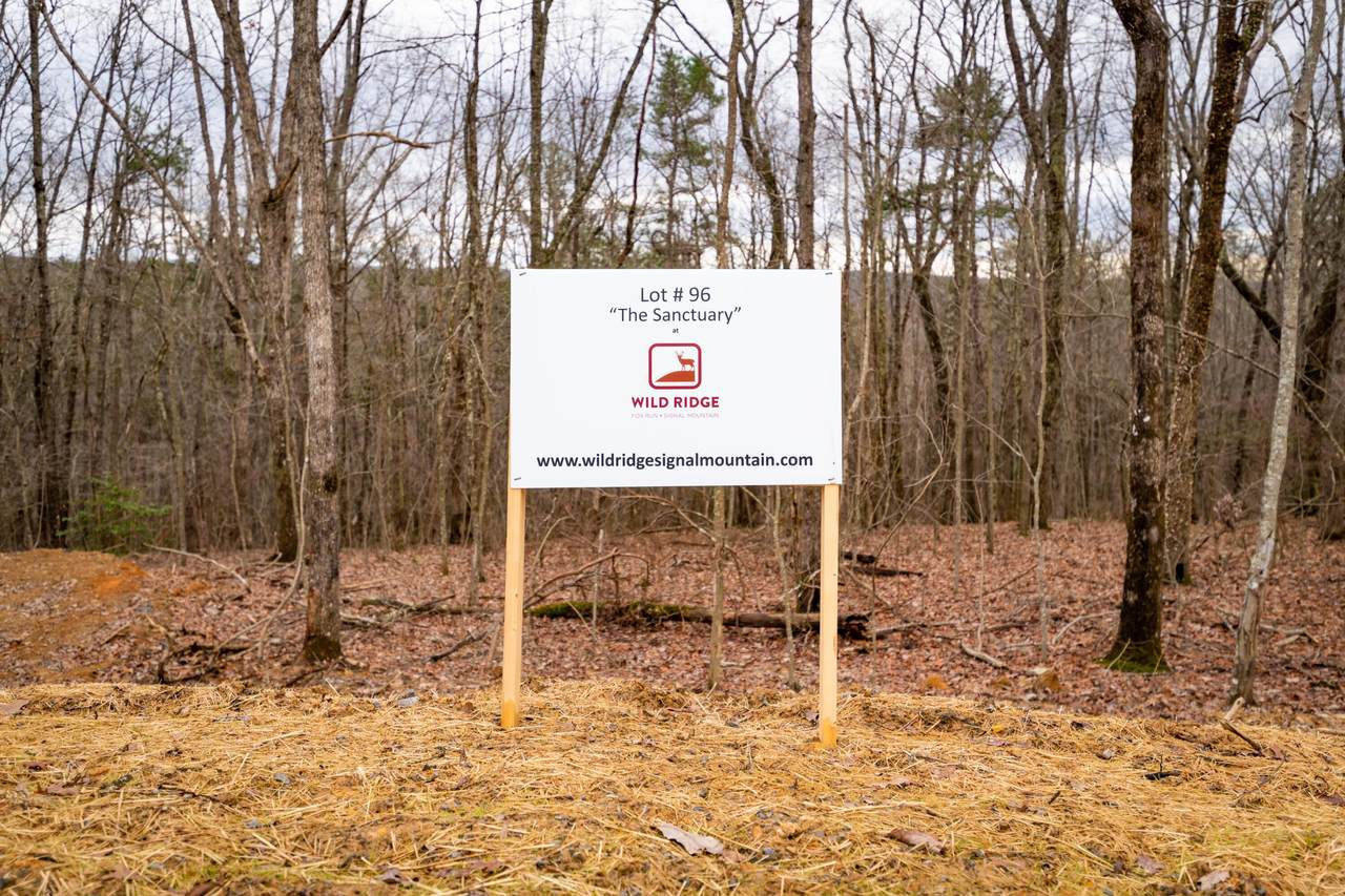 5136 Virginia Pine Rd - Photo 1