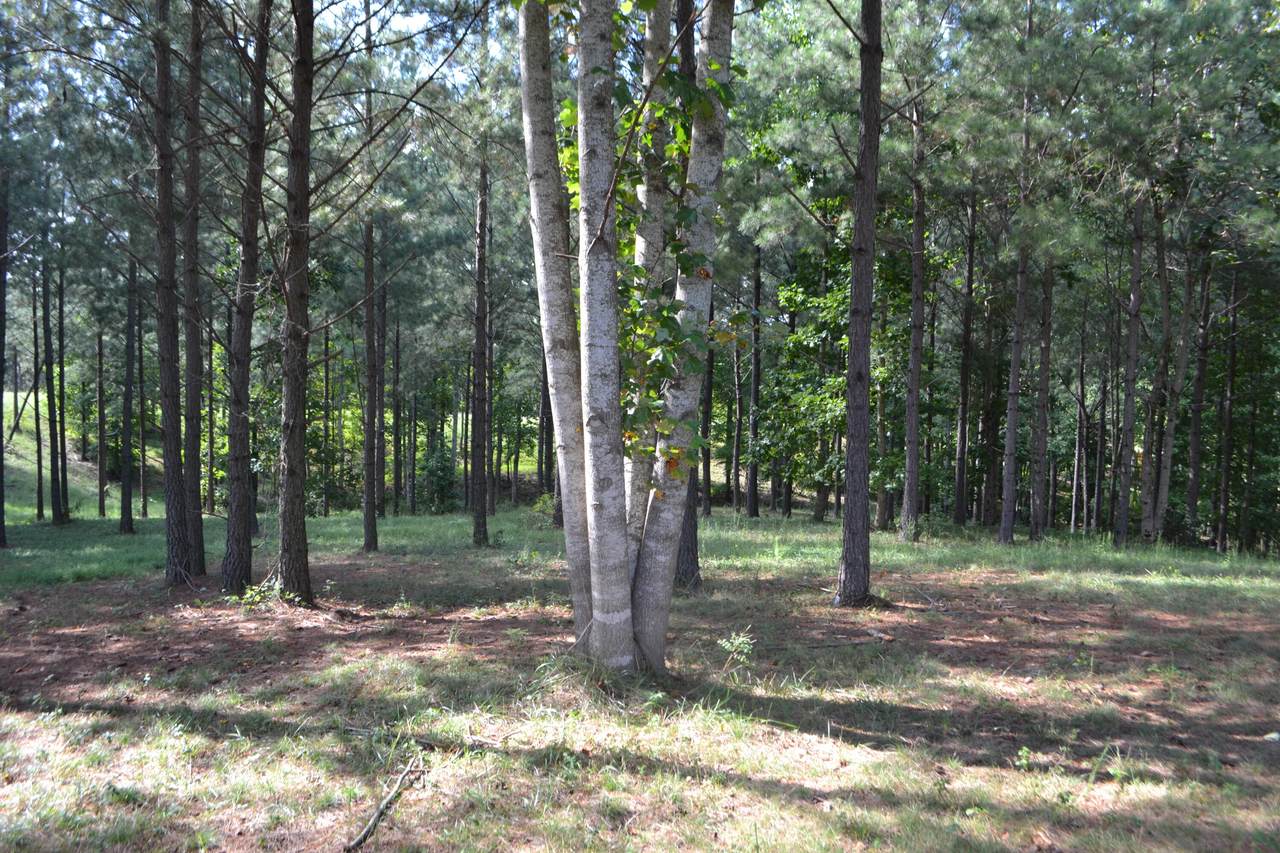 0 Raulston Falls Dr - Photo 1