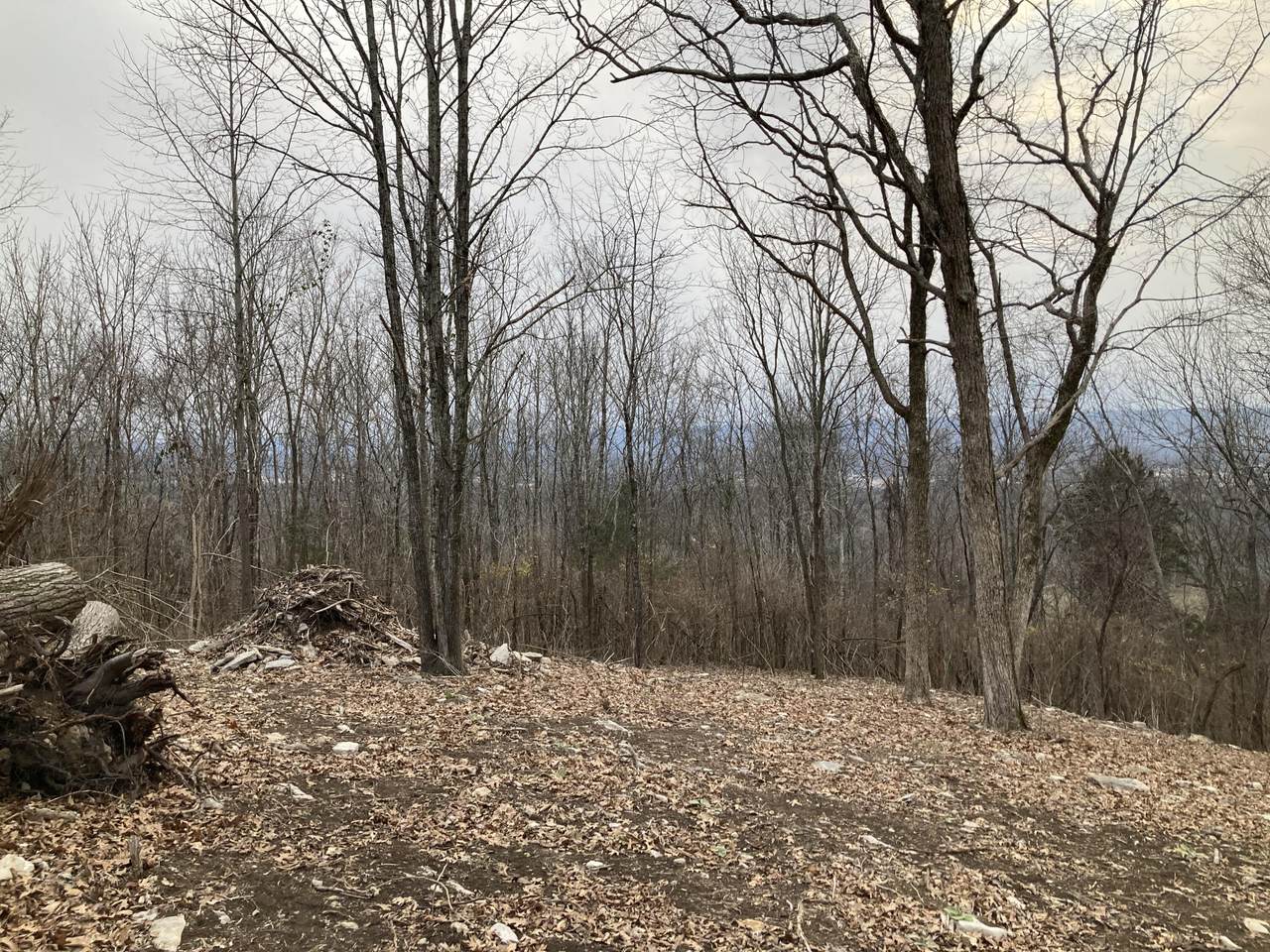 4825 Gann Store Rd - Photo 1