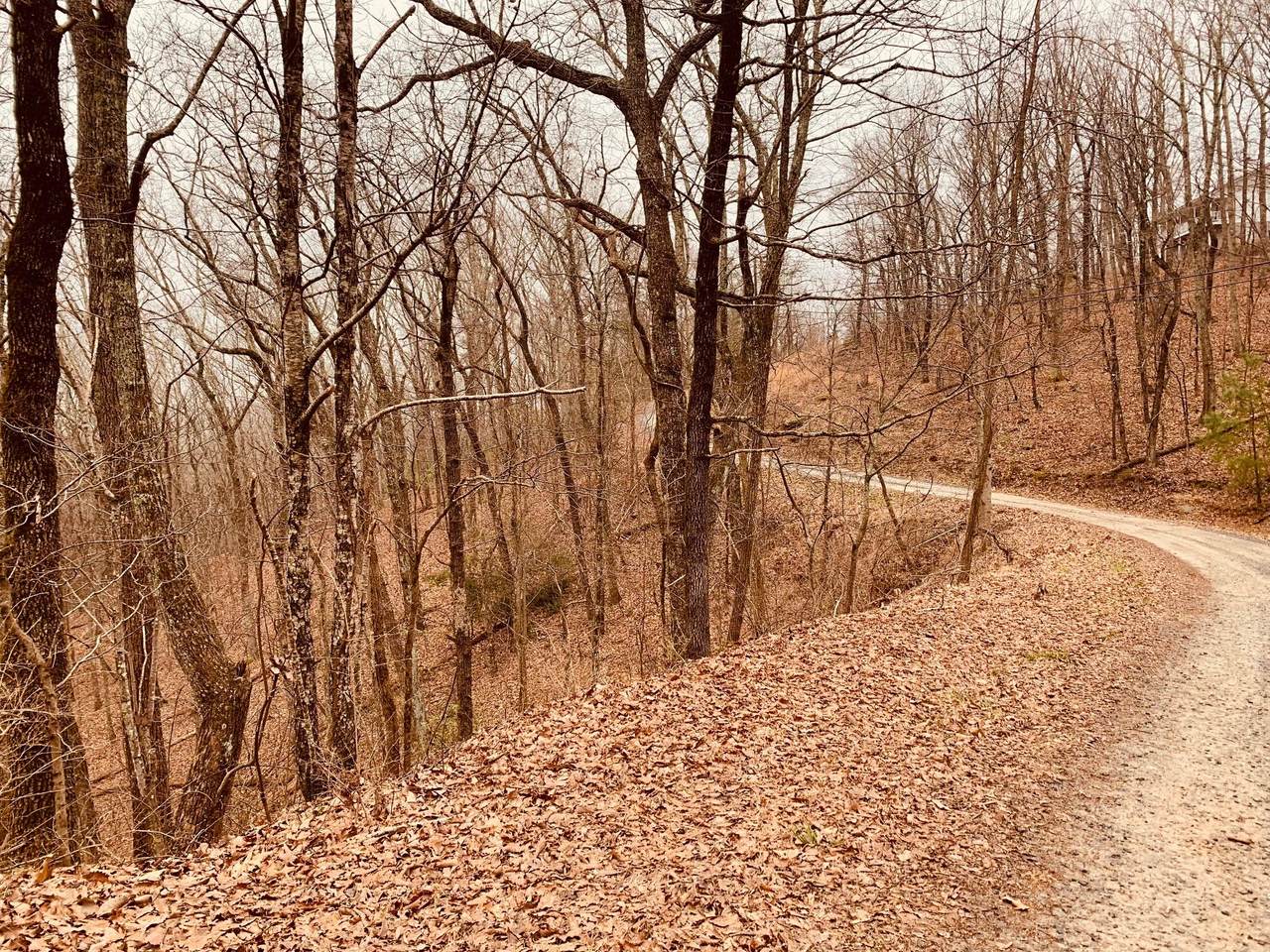 0 Bull Gap Road - Photo 1