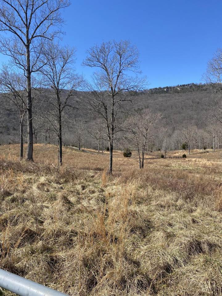 0 Newsome Gap Rd - Photo 1