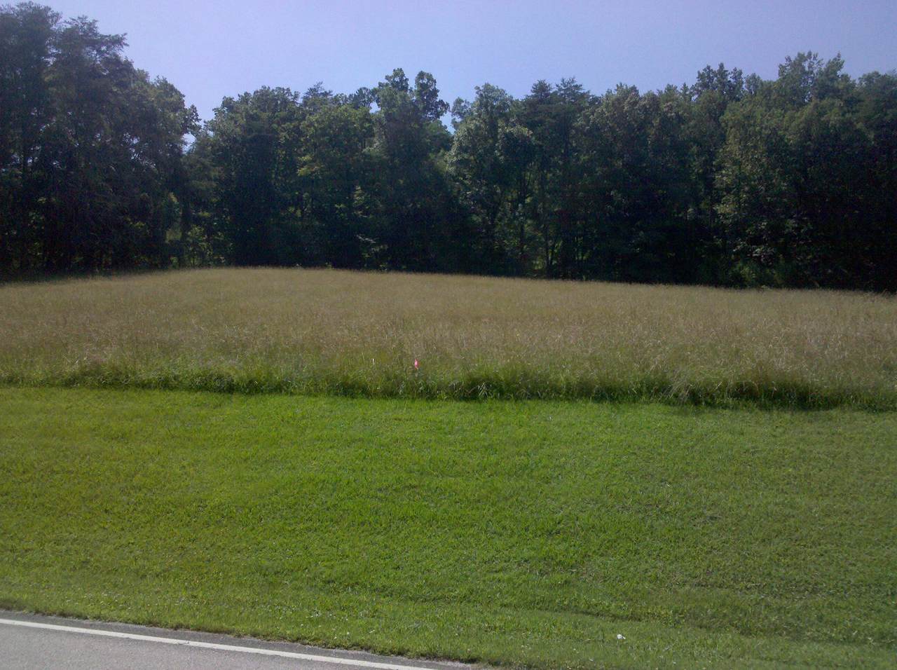https://bt-photos.global.ssl.fastly.net/chattanooga/1280_boomver_1_1350586-2.jpg