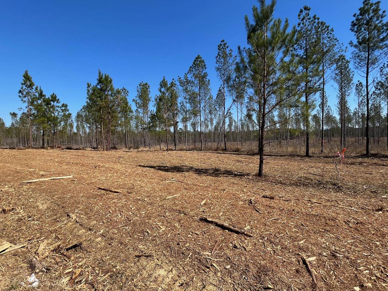 9 Hughes Lake Road - Photo 1