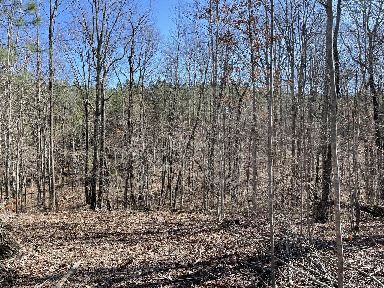 Jf391 Whiskey Way - Photo 1