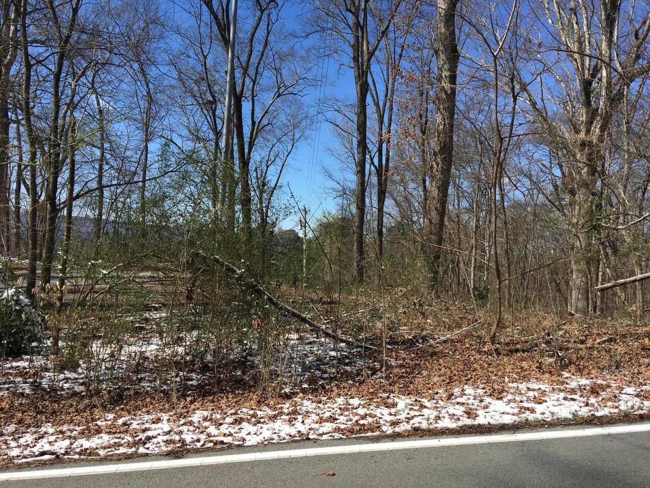1 Hamill Rd - Photo 1