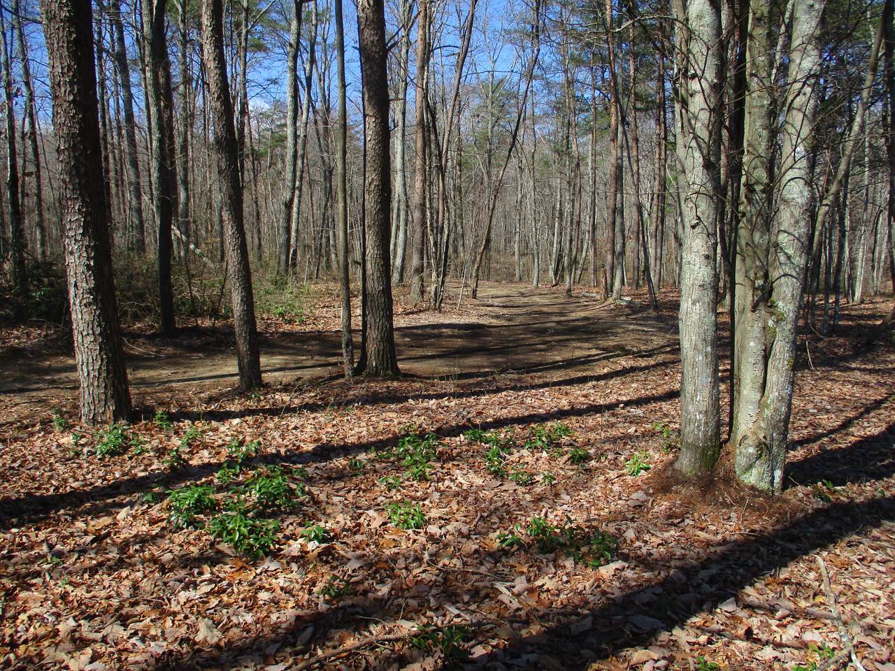 0 Mountain Lake Cir - Photo 1