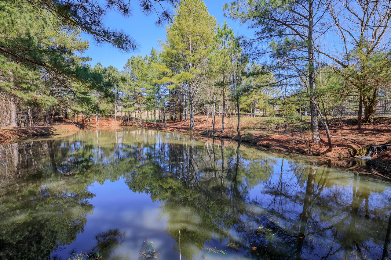 https://bt-photos.global.ssl.fastly.net/chattanooga/1280_boomver_1_1351413-2.jpg
