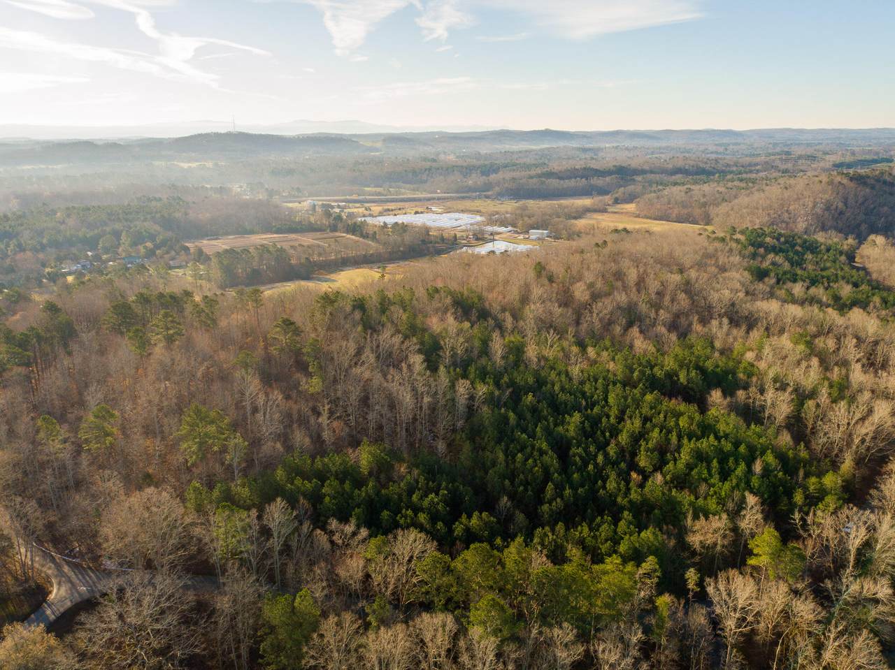 0 Laurel Bluff Rd - Photo 1