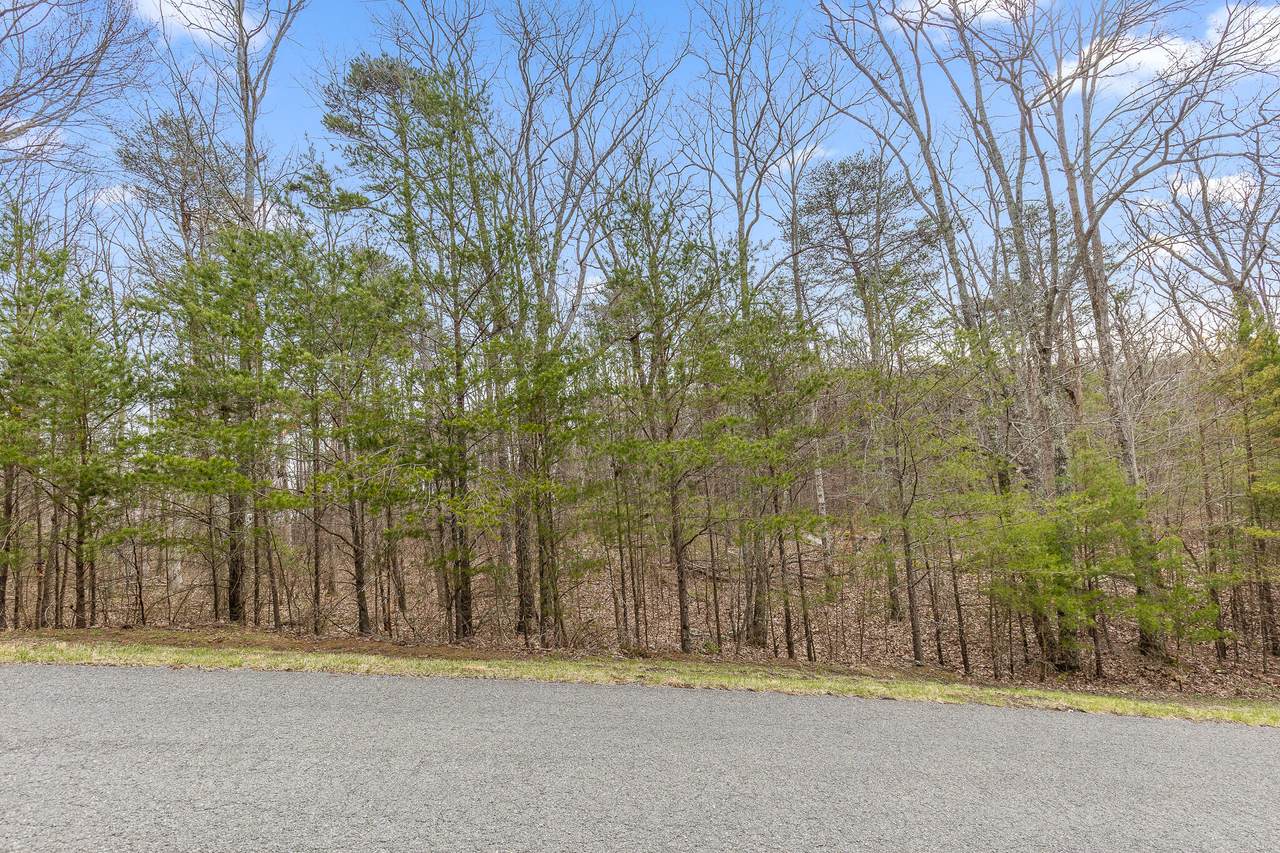 https://bt-photos.global.ssl.fastly.net/chattanooga/1280_boomver_1_1351715-2.jpg