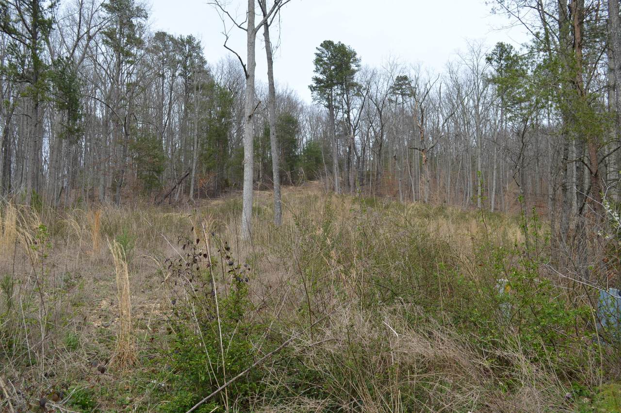 0 Little Falls Cir - Photo 1