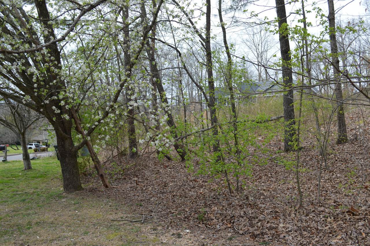 https://bt-photos.global.ssl.fastly.net/chattanooga/1280_boomver_1_1351960-2.jpg