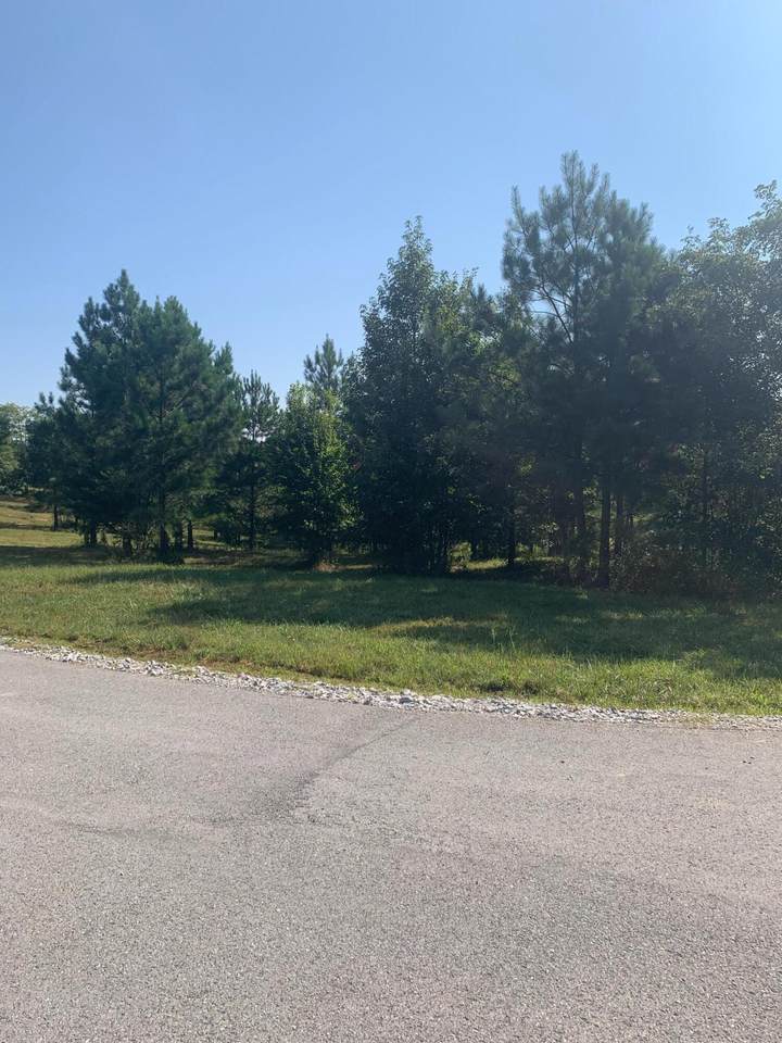 285 Pioneer Rd - Photo 1