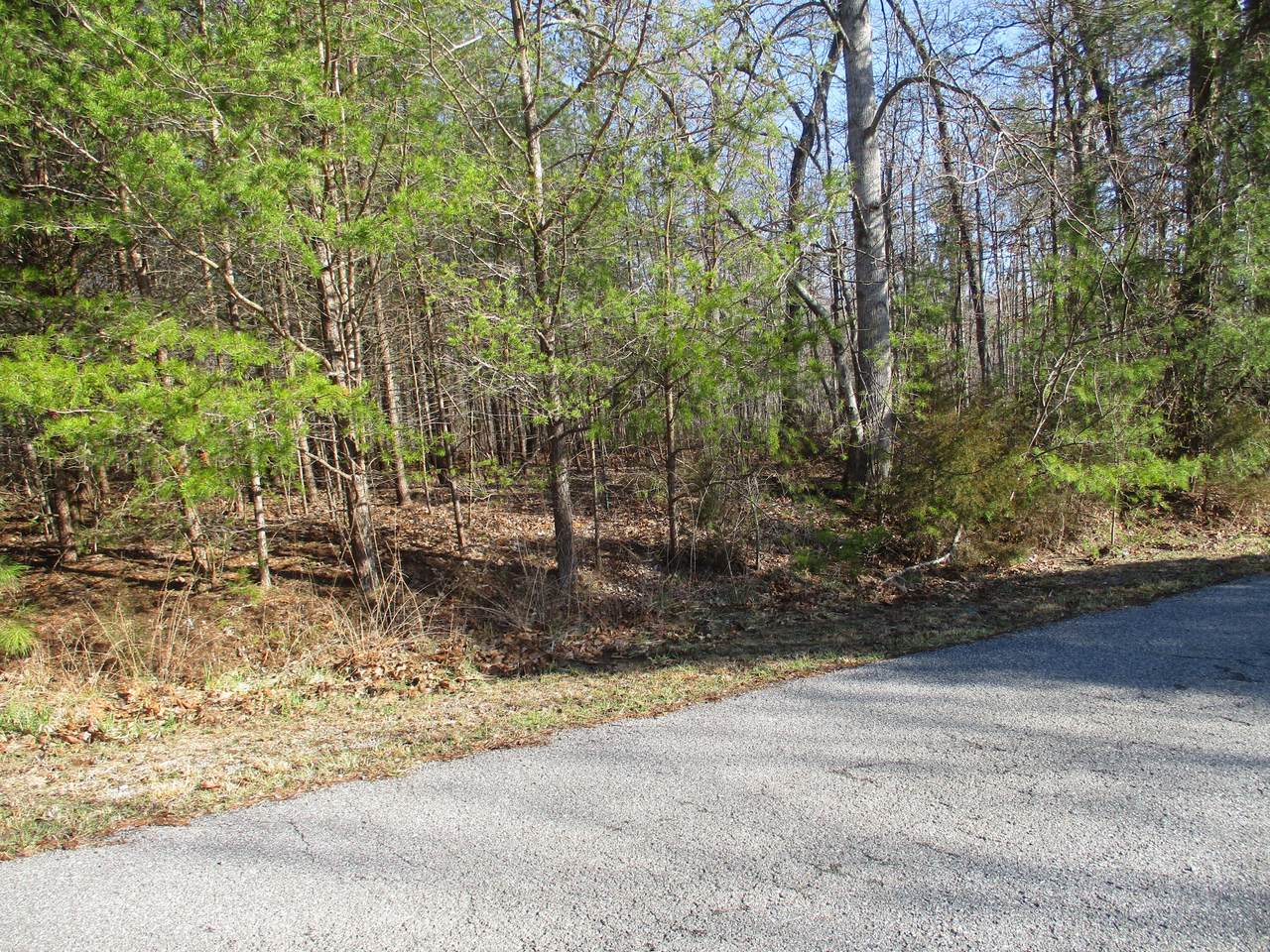 277 Black Mountain Rd - Photo 1