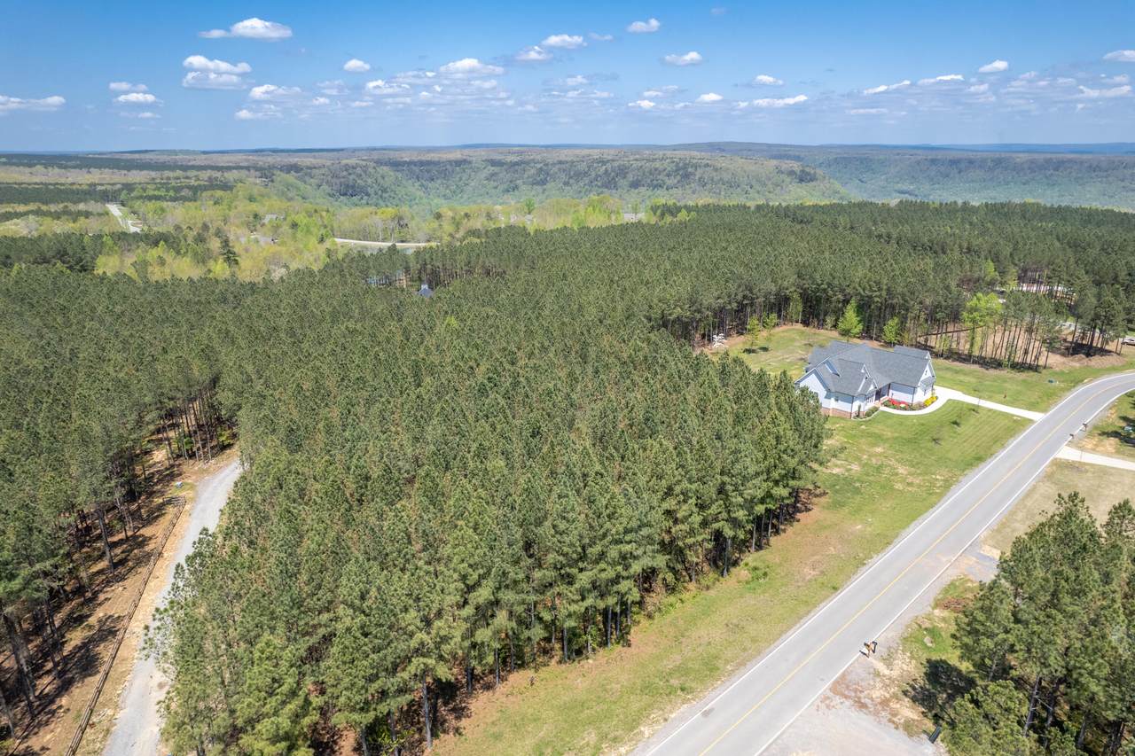 0 River Bluffs Dr - Photo 1