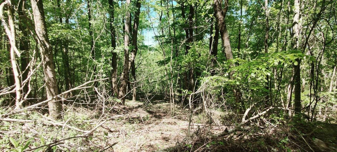 5.2 Coburntown Rd - Photo 1