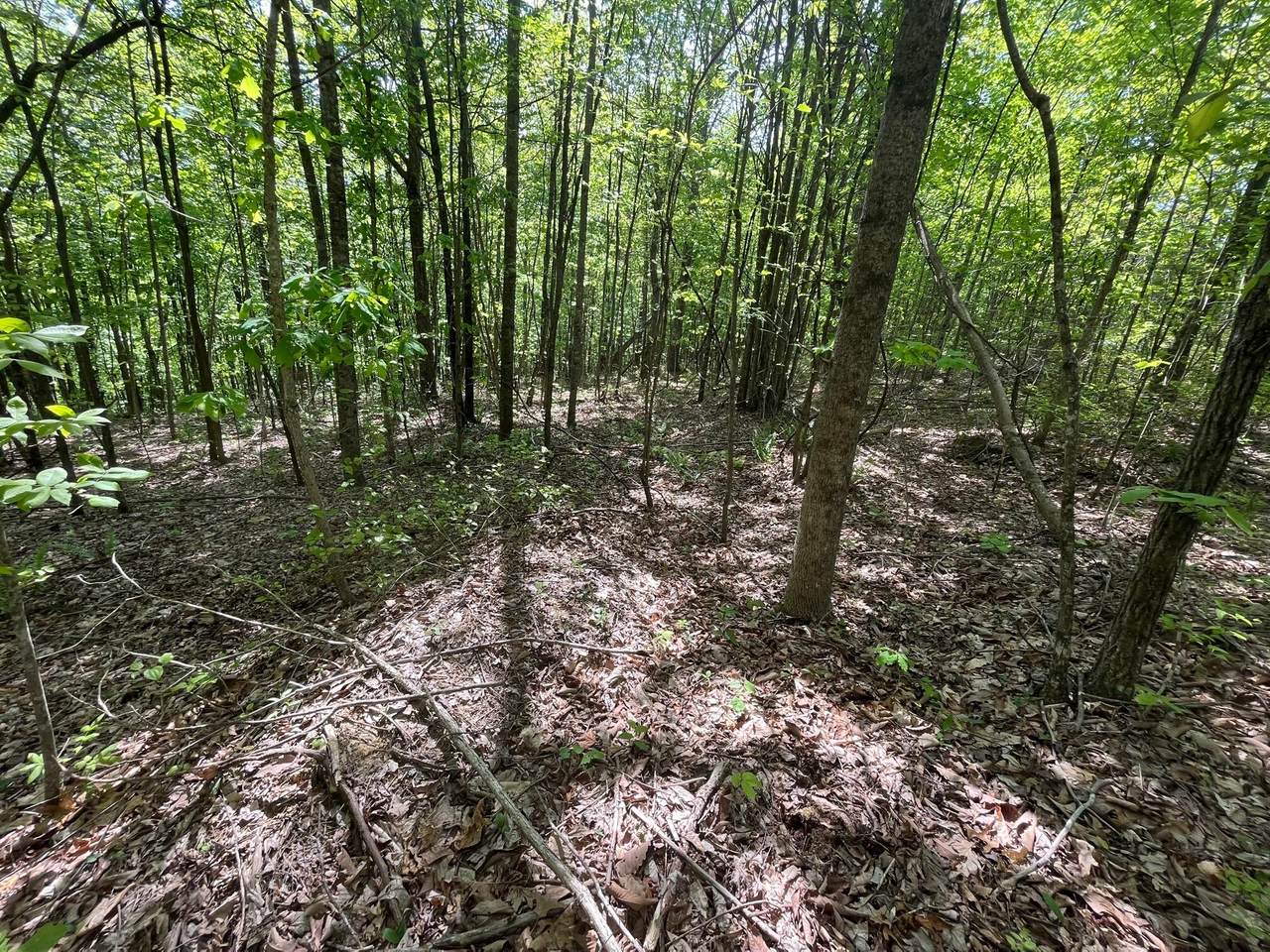 https://bt-photos.global.ssl.fastly.net/chattanooga/1280_boomver_1_1354690-2.jpg