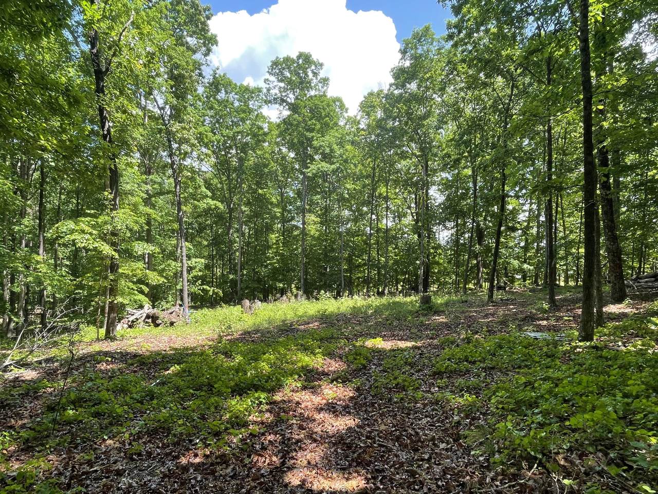 https://bt-photos.global.ssl.fastly.net/chattanooga/1280_boomver_1_1354742-2.jpg