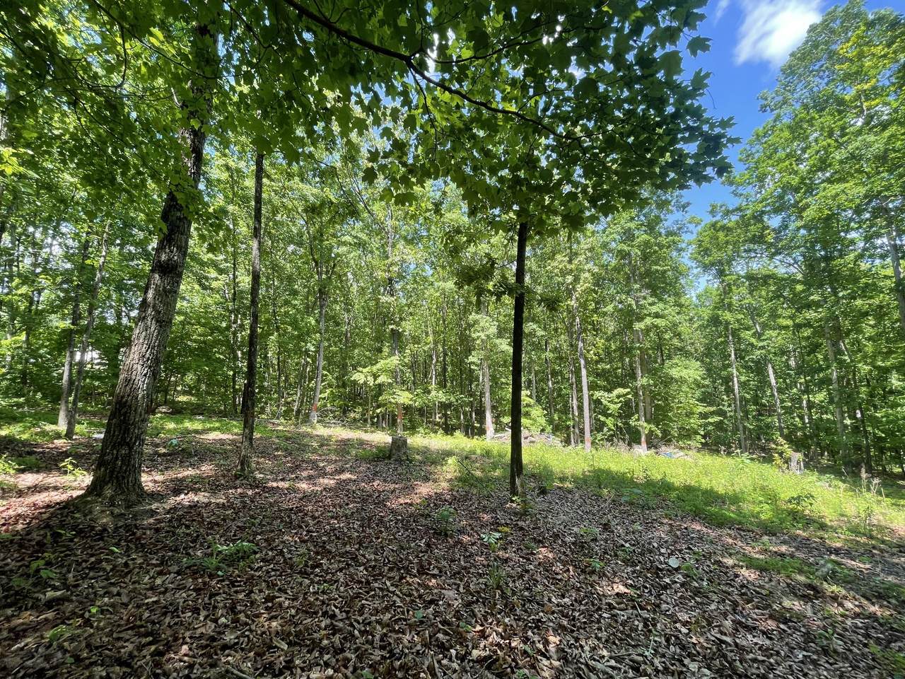 https://bt-photos.global.ssl.fastly.net/chattanooga/1280_boomver_1_1354742-2.jpg