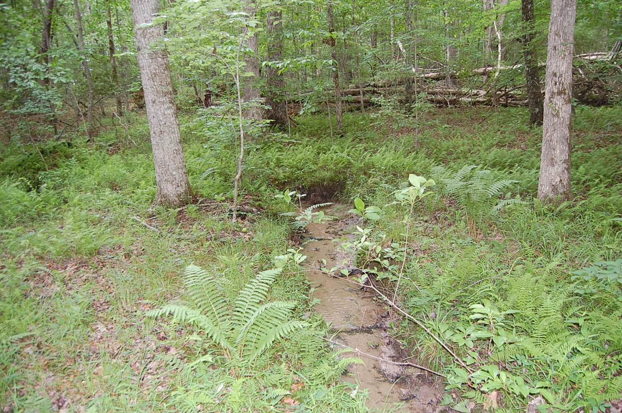 1883 Baker Mountain Rd - Photo 1