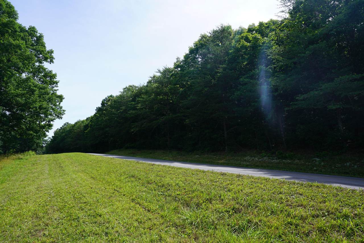 00 Fricks Gap Rd - Photo 1