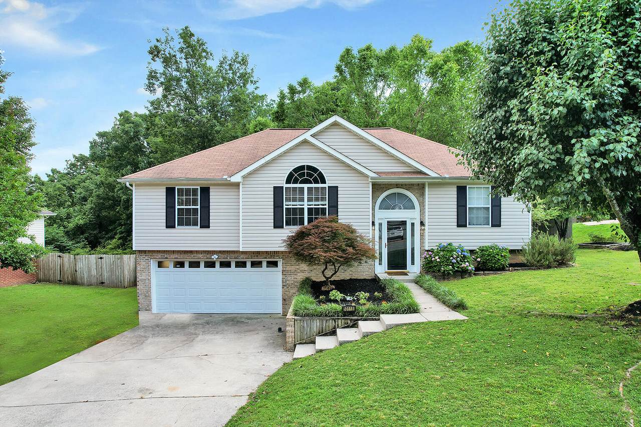 10118 Fielding Rd - Photo 1
