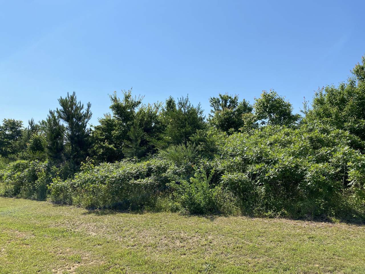 https://bt-photos.global.ssl.fastly.net/chattanooga/orig_boomver_2_1357005-2.jpg