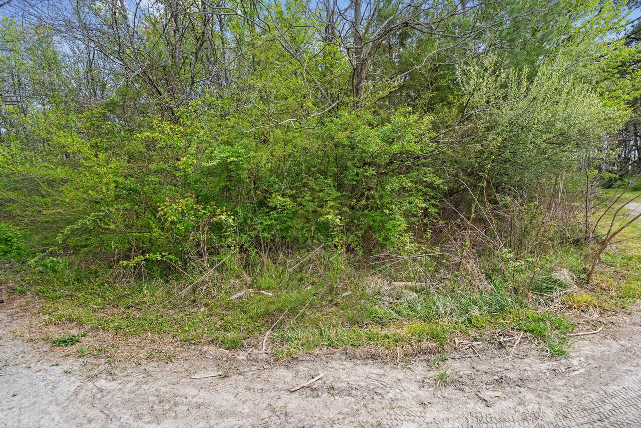 Lot 10 Robinson Dr - Photo 1