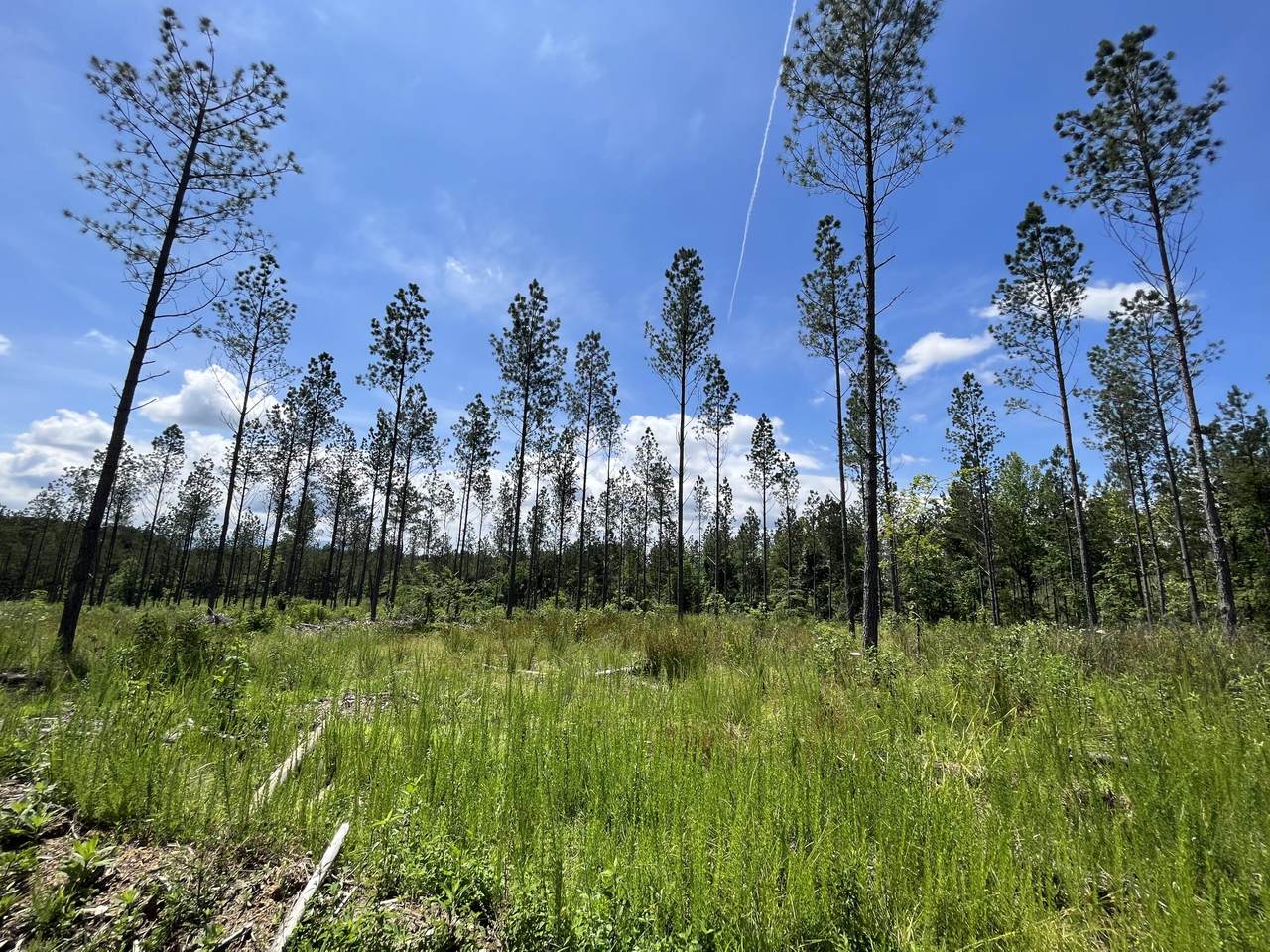 19 Hughes Lake Road - Photo 1