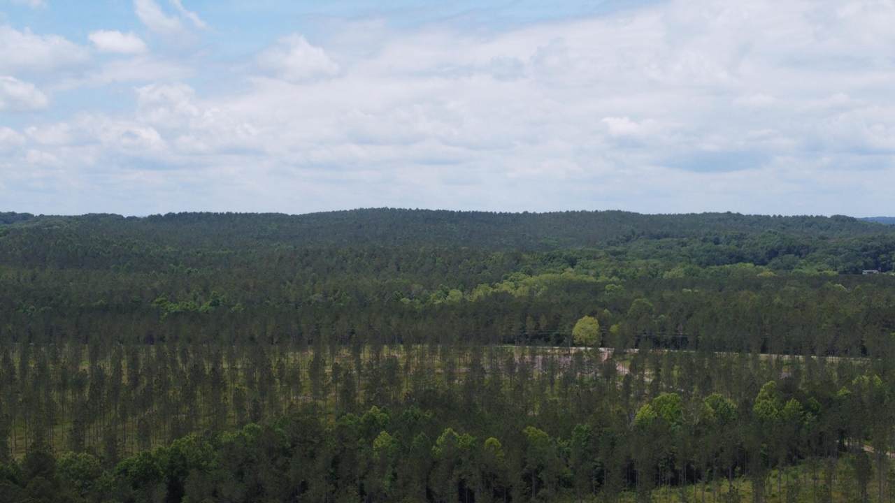 https://bt-photos.global.ssl.fastly.net/chattanooga/1280_boomver_1_1357419-2.jpg