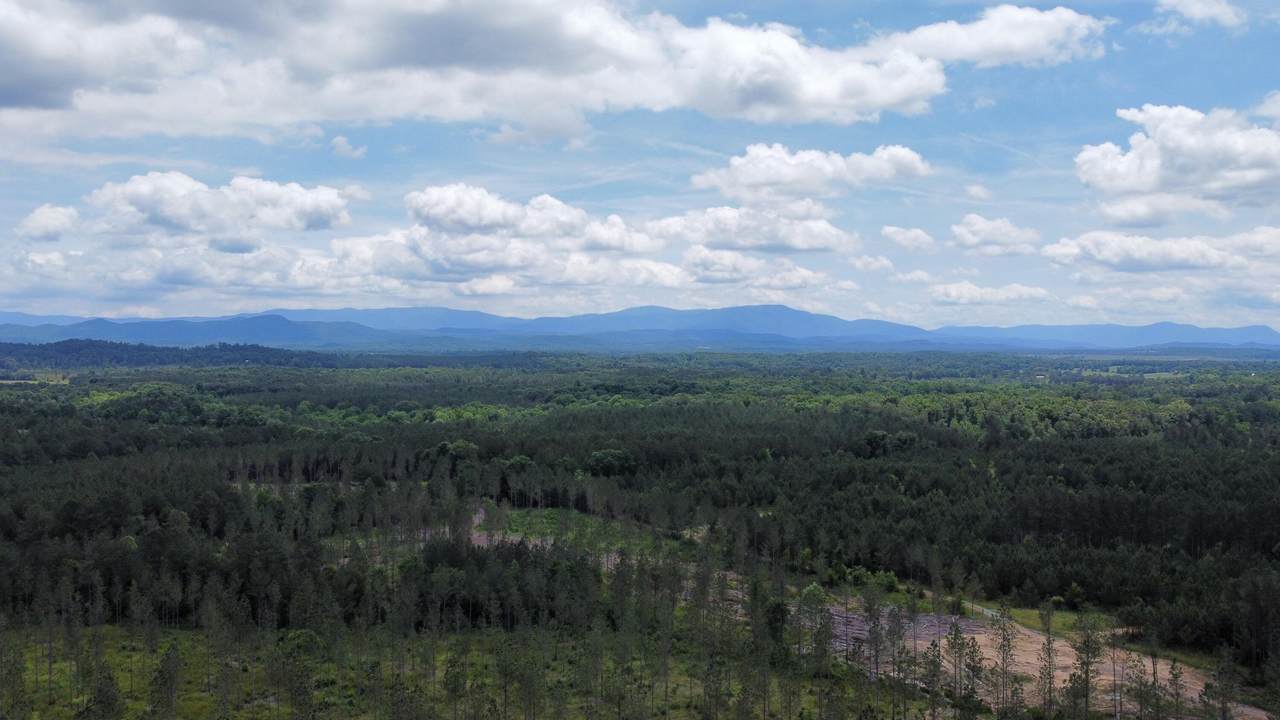 24 Hughes Lake Road - Photo 1