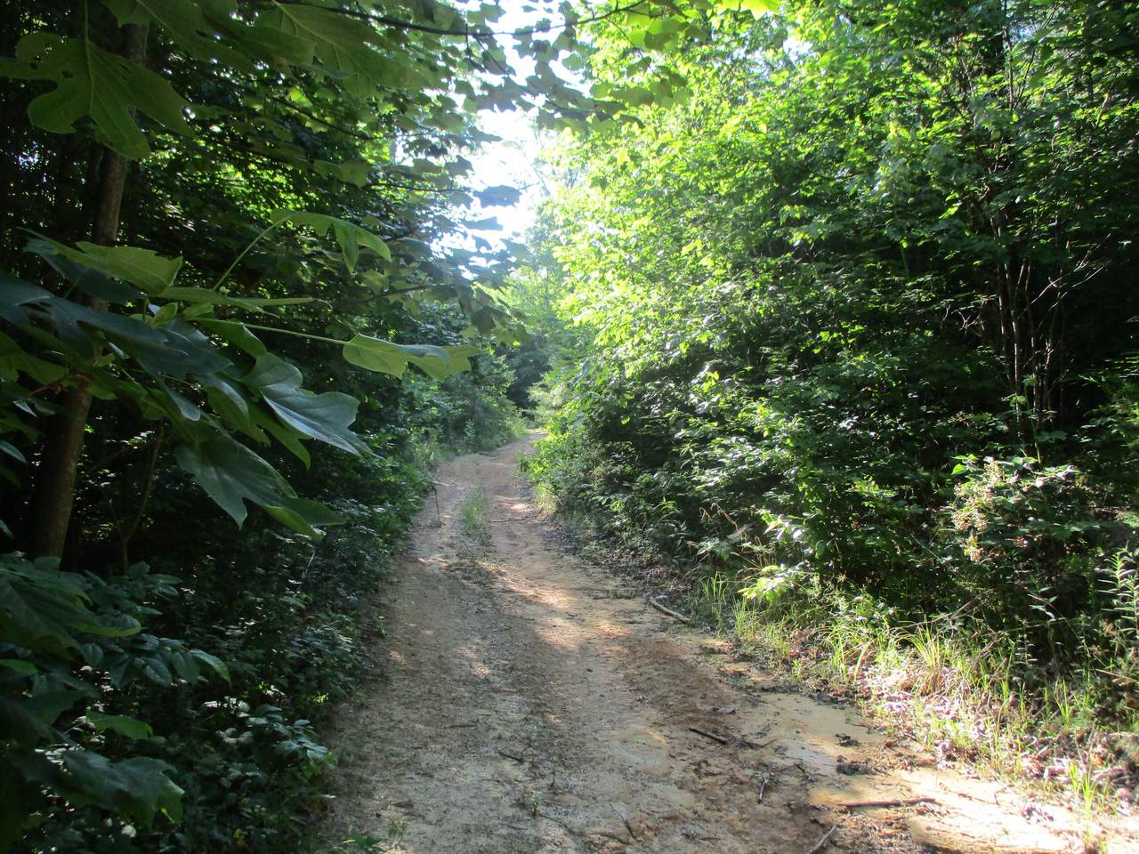 https://bt-photos.global.ssl.fastly.net/chattanooga/1280_boomver_1_1357433-2.jpg
