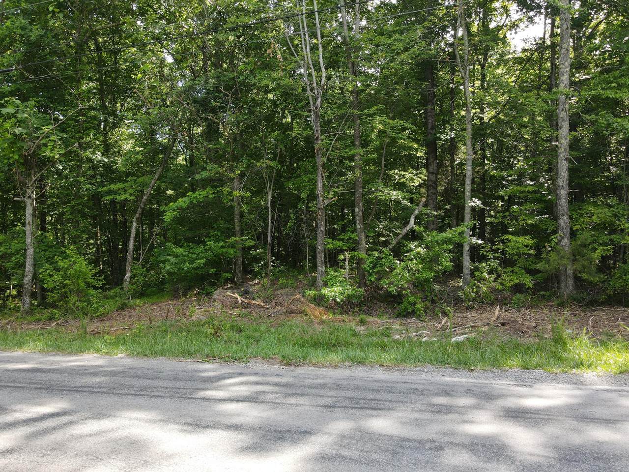 3 Jackson Point Rd - Photo 1