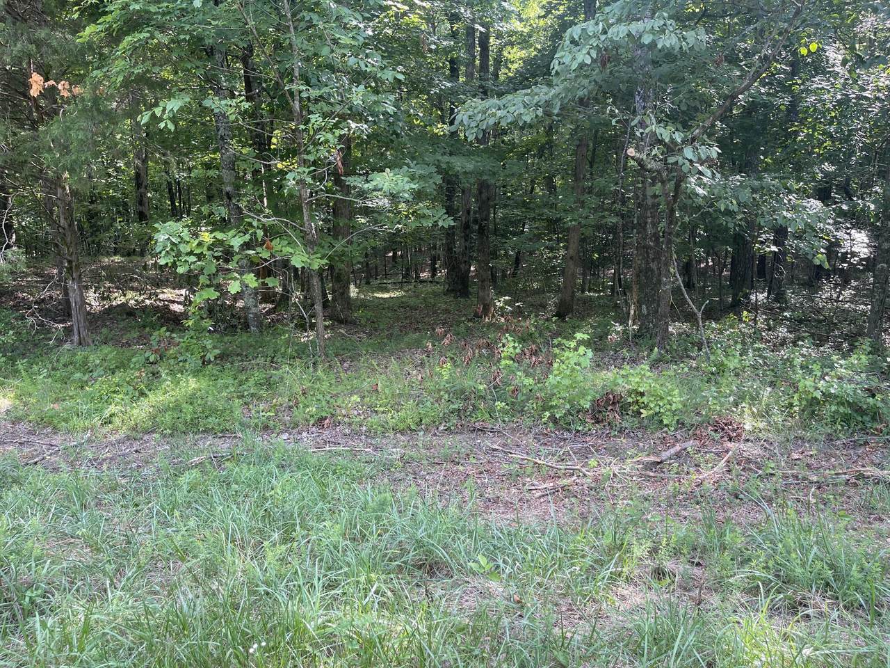 https://bt-photos.global.ssl.fastly.net/chattanooga/1280_boomver_2_1358655-2.jpg