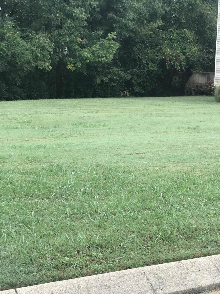 https://bt-photos.global.ssl.fastly.net/chattanooga/1280_boomver_1_1358746-2.jpg