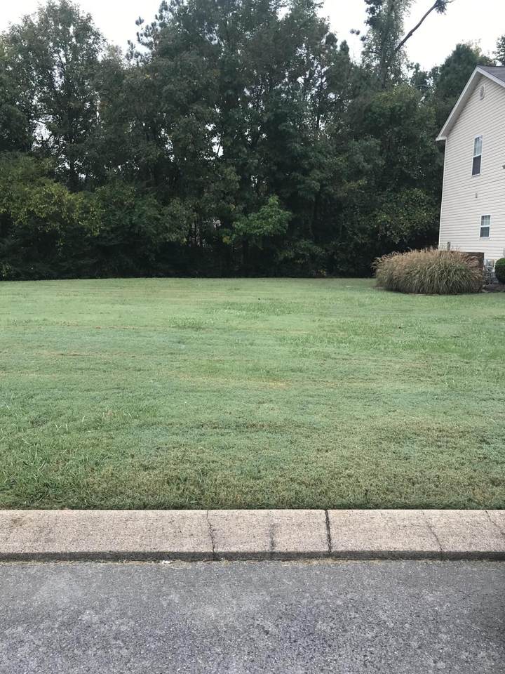 https://bt-photos.global.ssl.fastly.net/chattanooga/1280_boomver_1_1358746-2.jpg