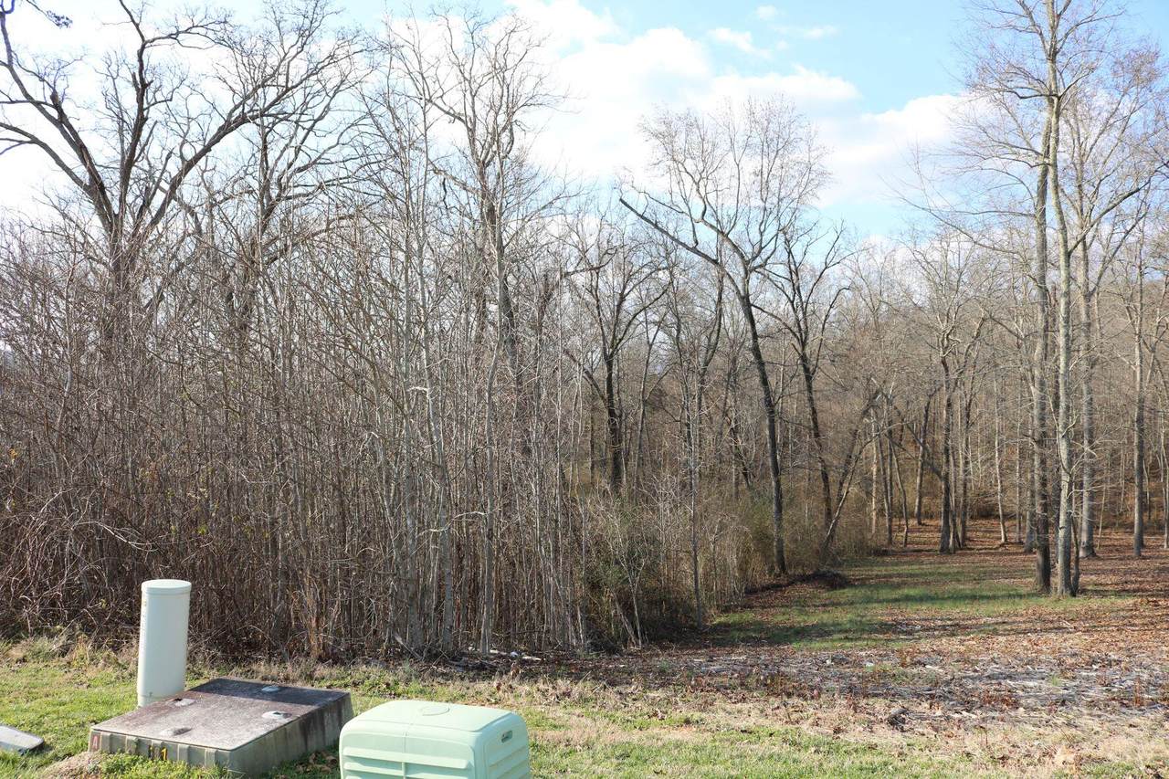 https://bt-photos.global.ssl.fastly.net/chattanooga/1280_boomver_1_1360016-2.jpg