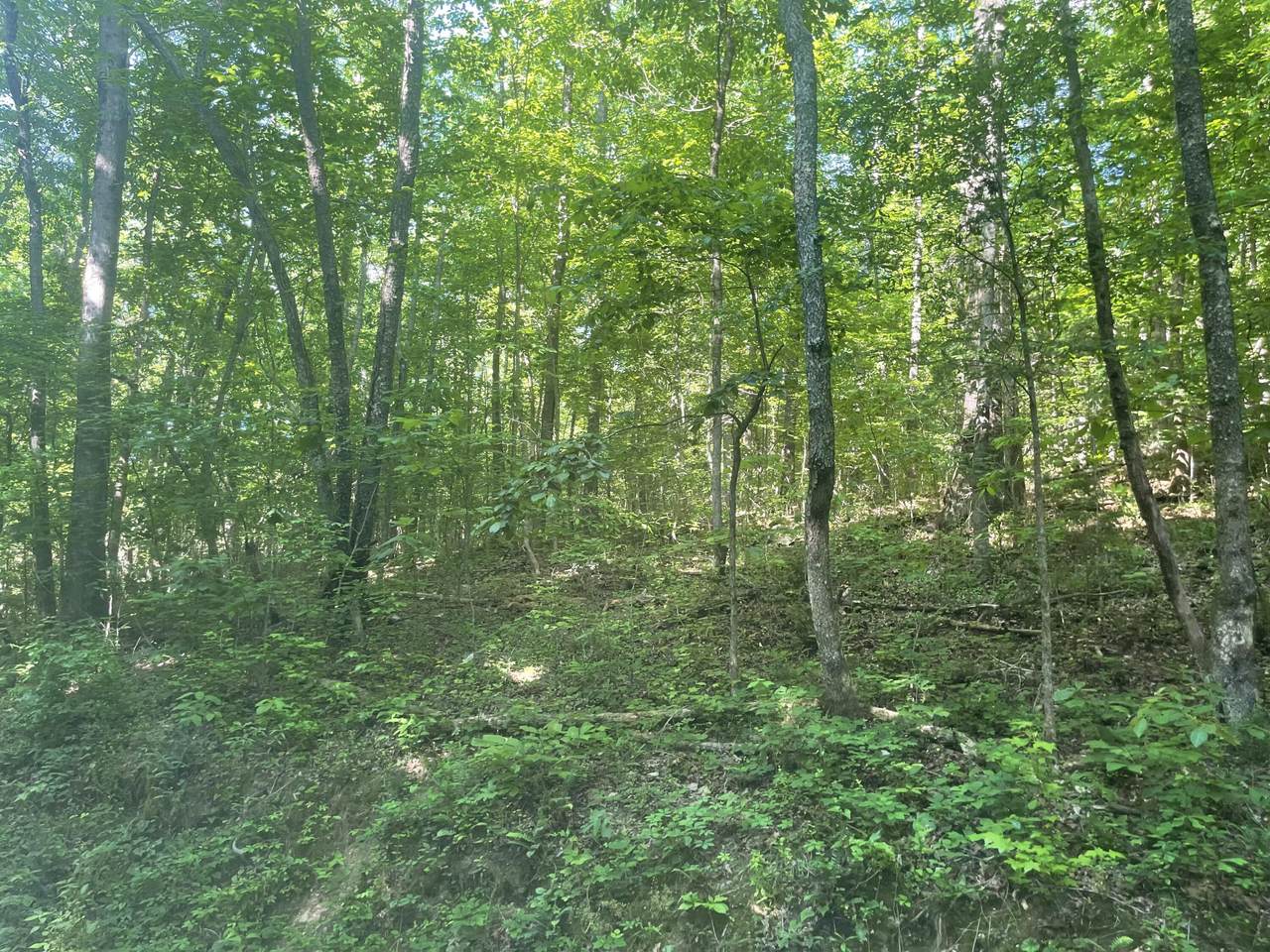 0 Burns Island Rd - Photo 1