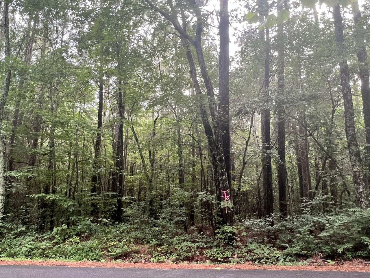 390 Mcclanahan Rd - Photo 1