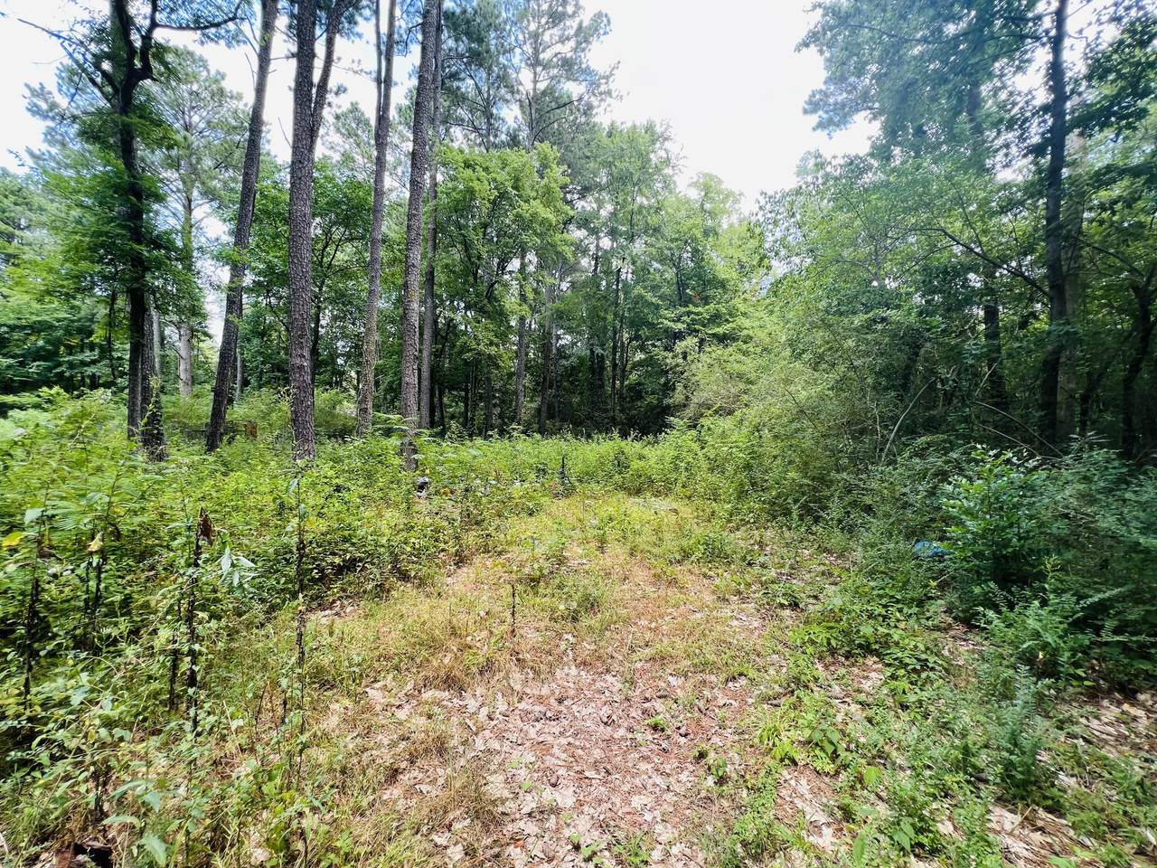 0 Vance Rd - Photo 1