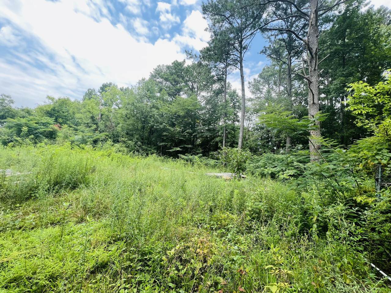 000 Vance Rd - Photo 1