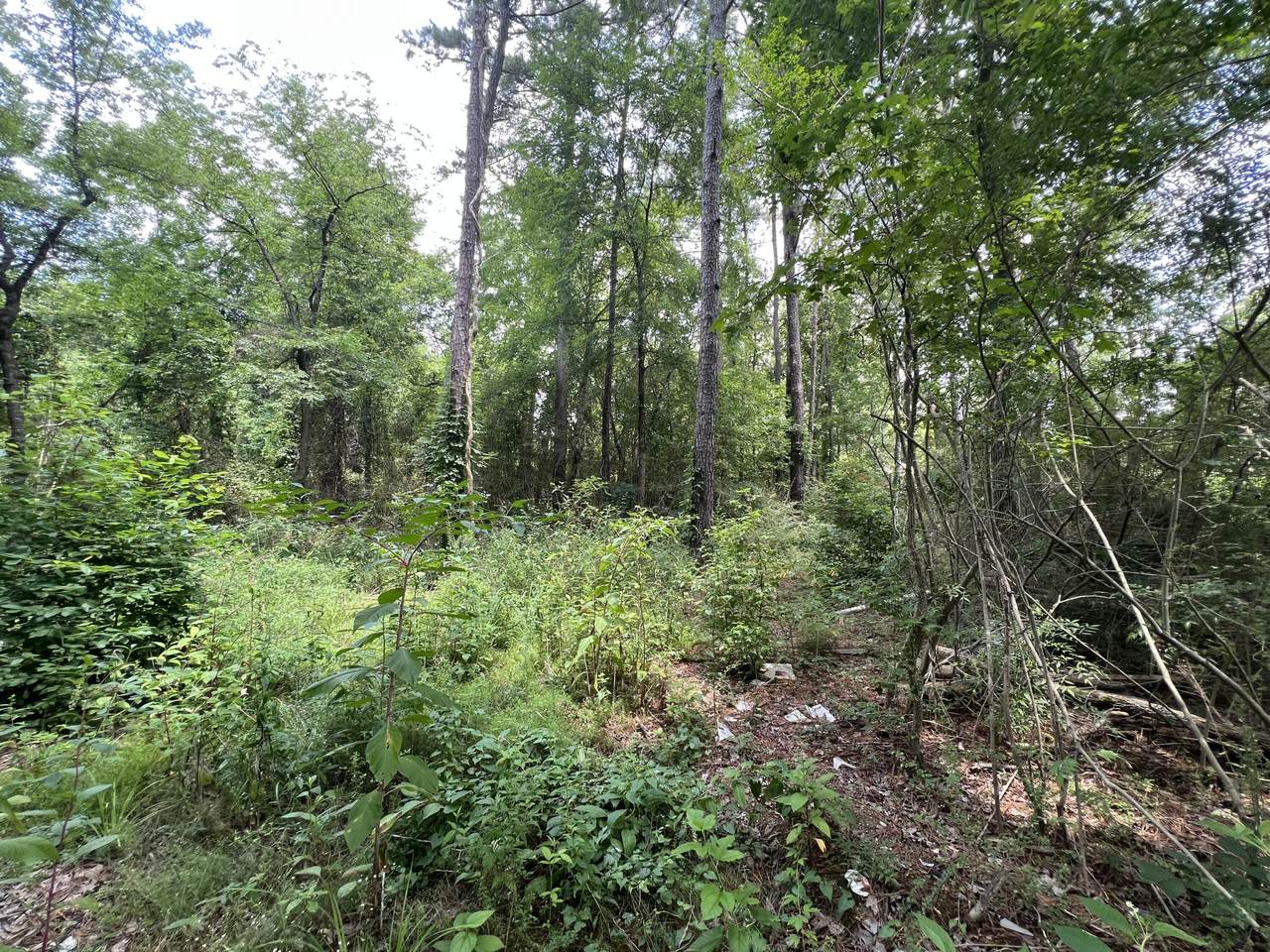 00000 Vance Rd - Photo 1