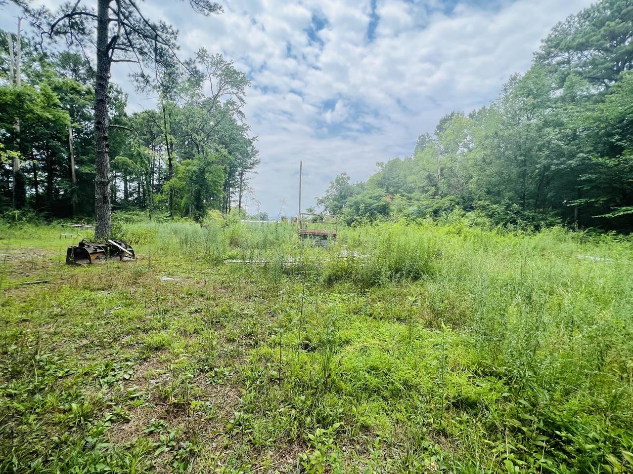 000000 Vance Rd - Photo 1