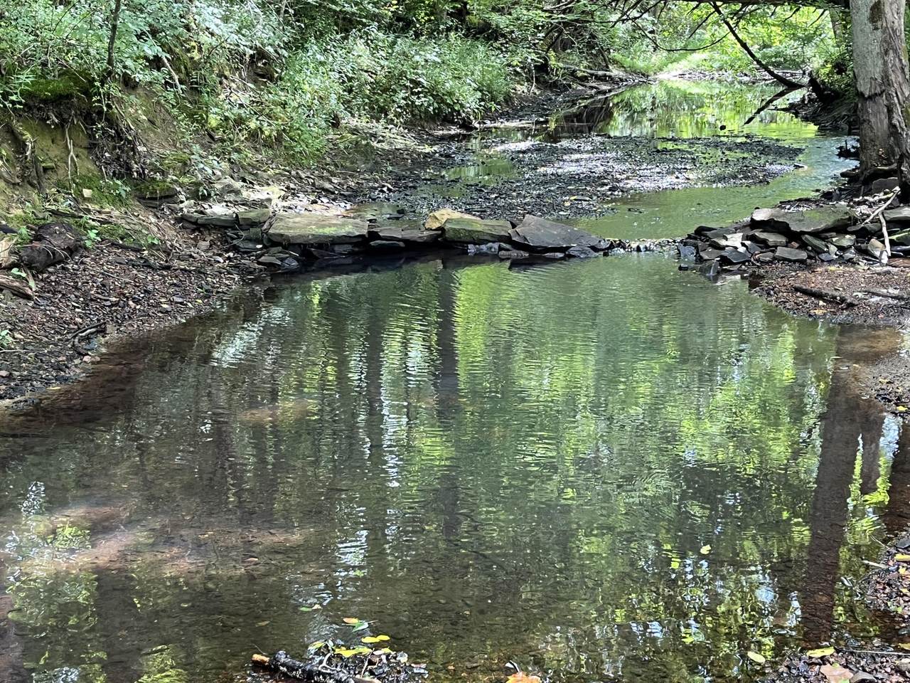129 Big Mine Rd - Photo 1